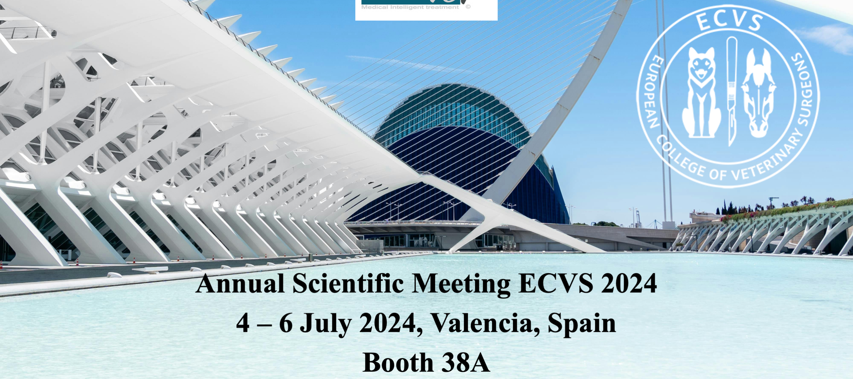 Deuxième participation au congrès ECVS - 2024 Valencia