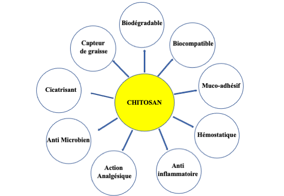 Les propriétés du Chitosan